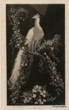 Lot 429