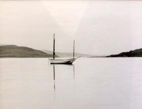 Lot 294